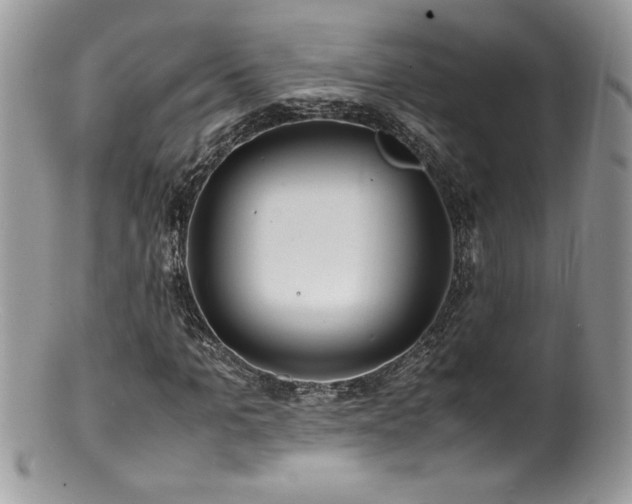 X0000100850965200806201210