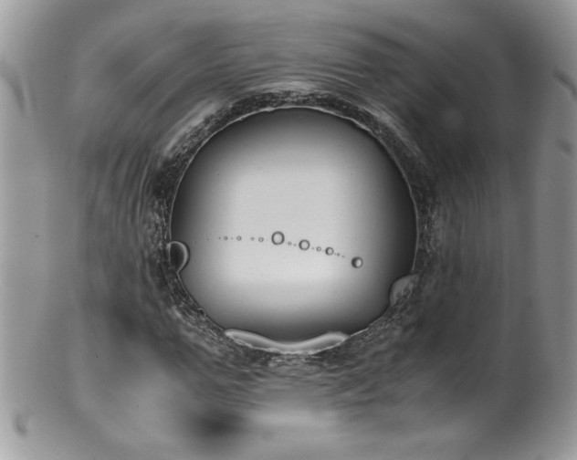 X0000100850967200806201210