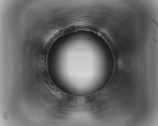 X0000100850968200806201210