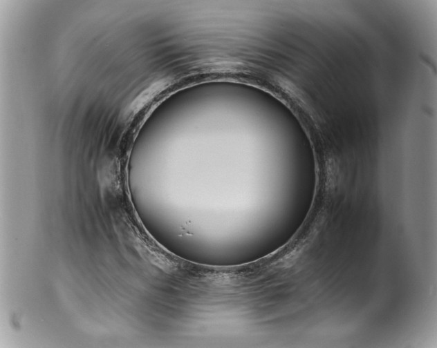 X0000100850970200806201210