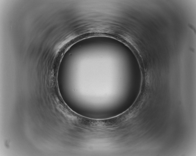X0000100850971200806201210
