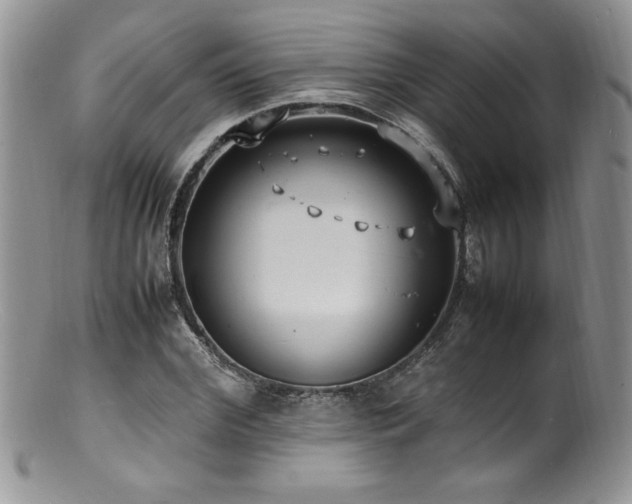 X0000100850972200806201210