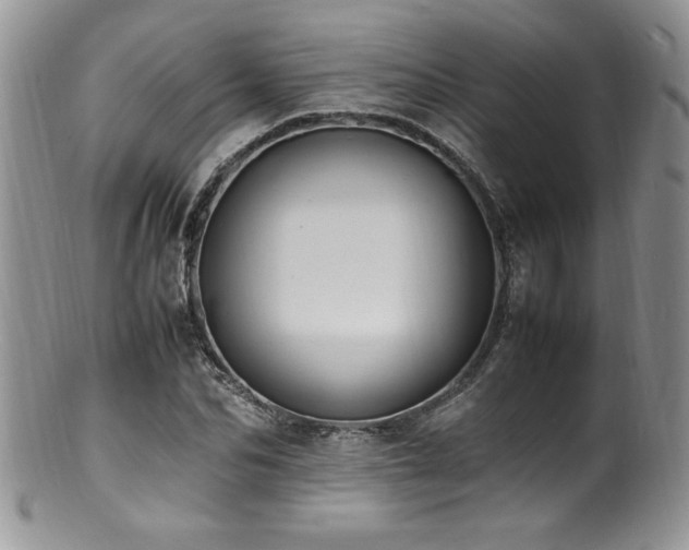 X0000100850974200806201210