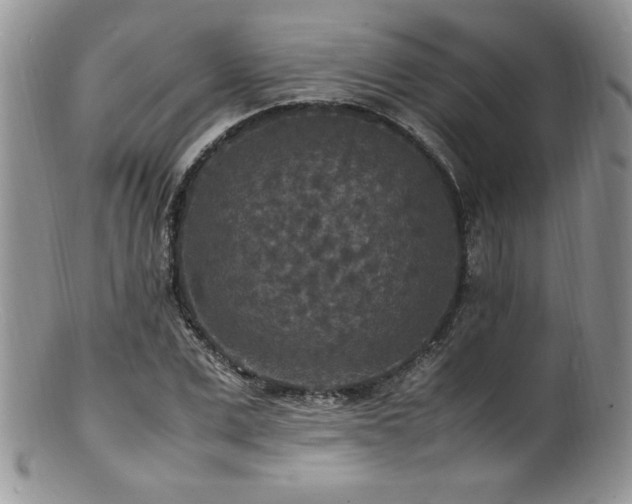 X0000100850975200806201210
