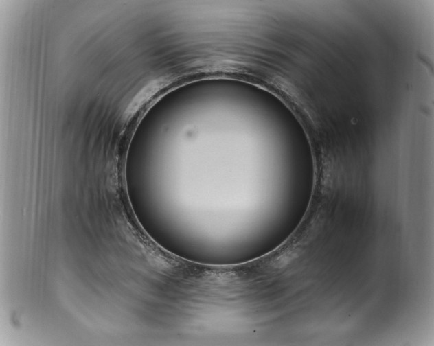 X0000100850978200806201210