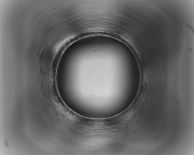 X0000100850979200806201210