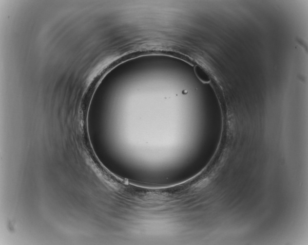 X0000100850981200806201210
