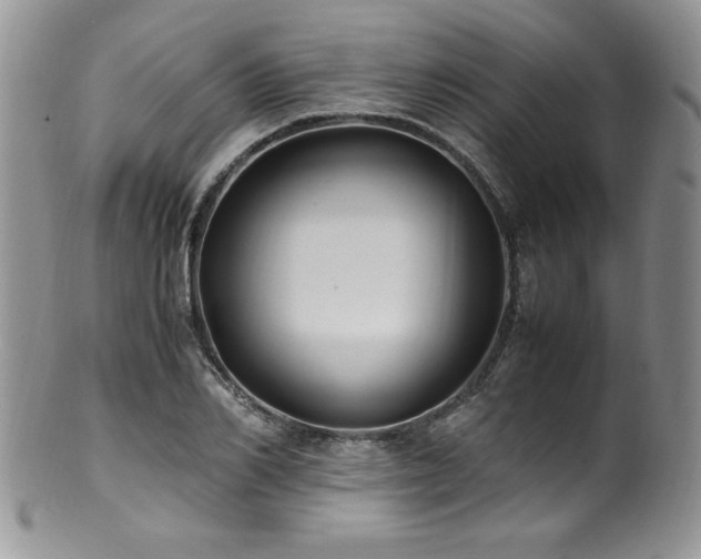 X0000100850982200806201210