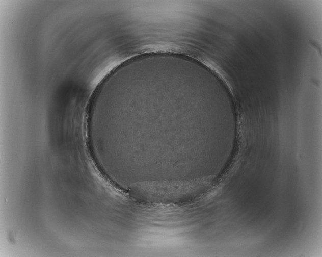 X0000100850983200806201210