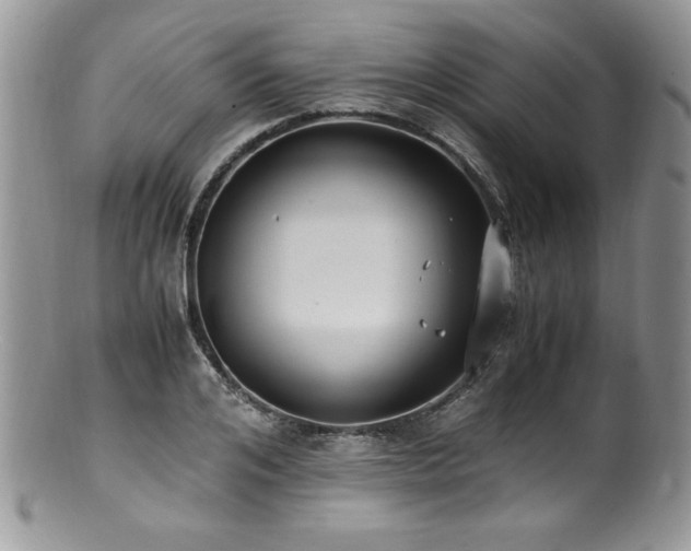 X0000100850984200806201210