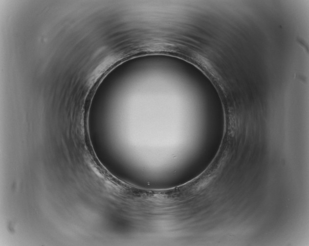 X0000100850986200806201210