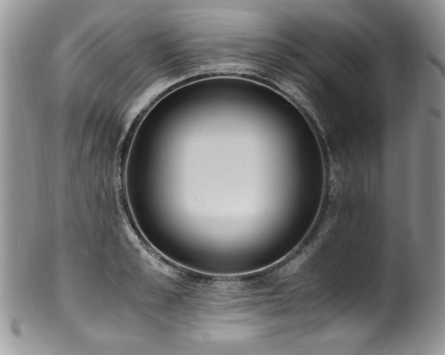 X0000100850989200806201210