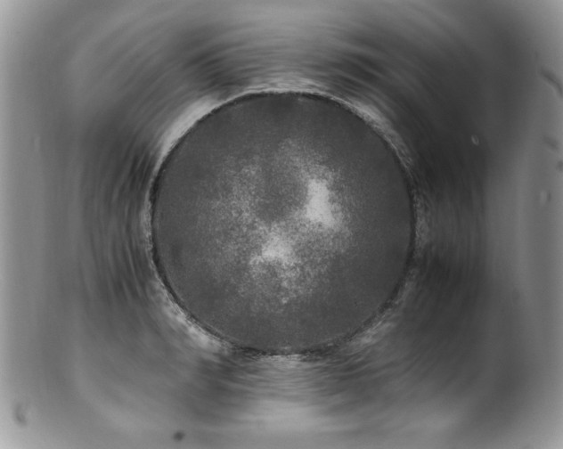 X0000100850990200806201210