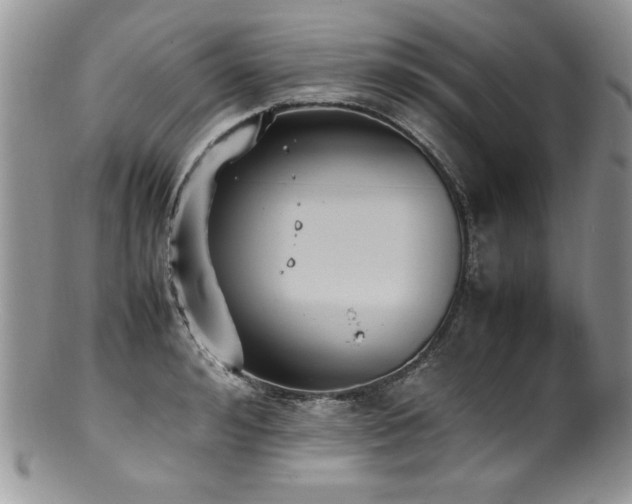 X0000100850992200806201210