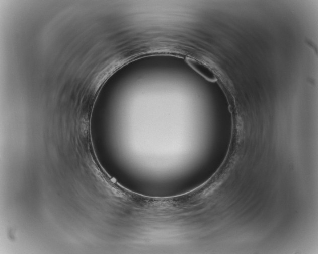 X0000100850993200806201210