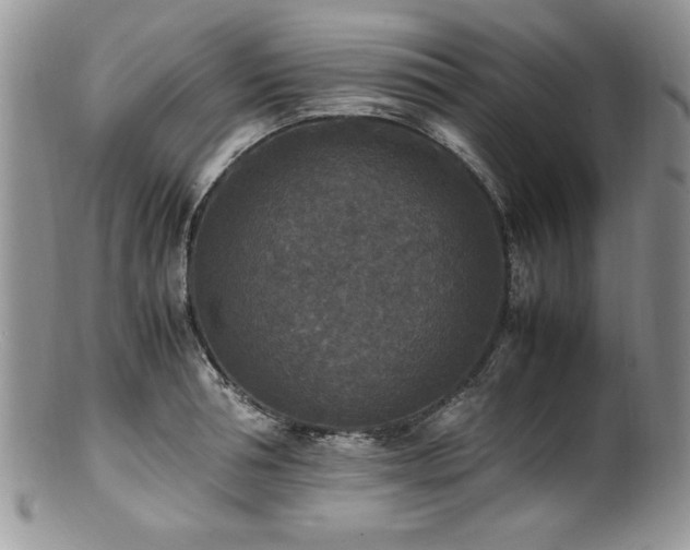 X0000100850994200806201210