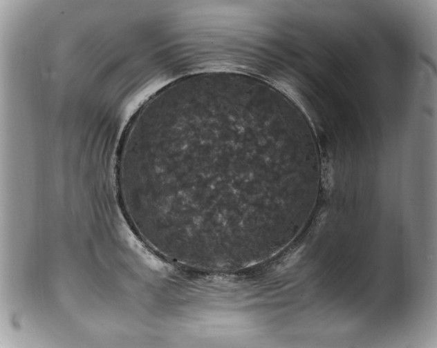 X0000100850995200806201210