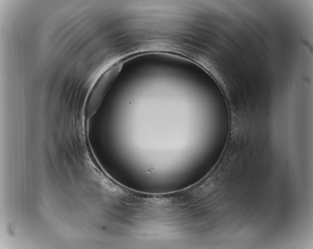 X0000100850996200806201210