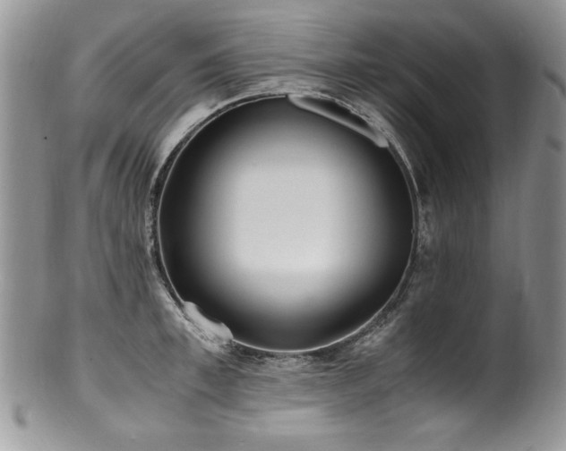 X0000100850997200806201210