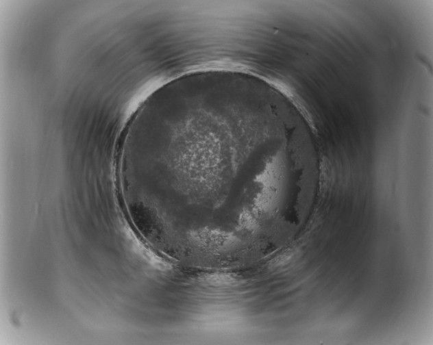 X0000100850998200806201210