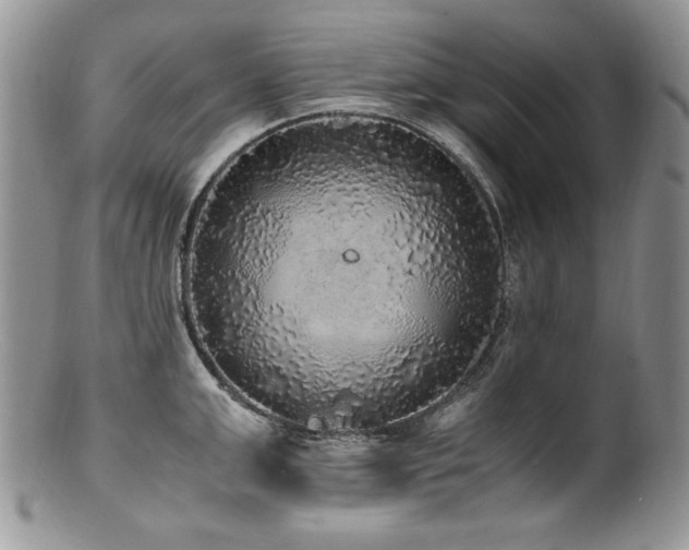 X0000100850999200806201209