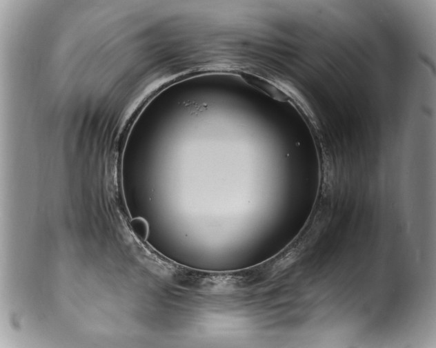 X0000100851000200806201209