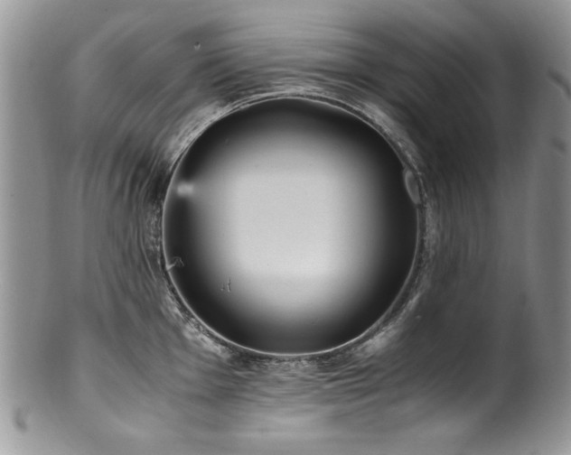 X0000100851001200806201209