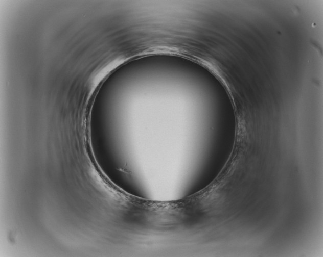 X0000100851003200806201209