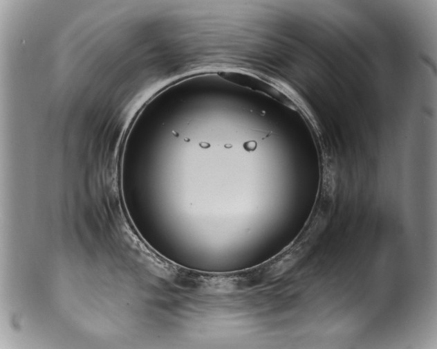 X0000100851004200806201209