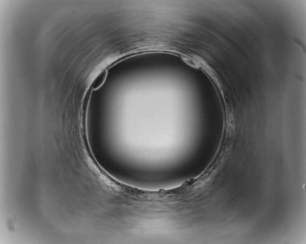 X0000100851005200806201209