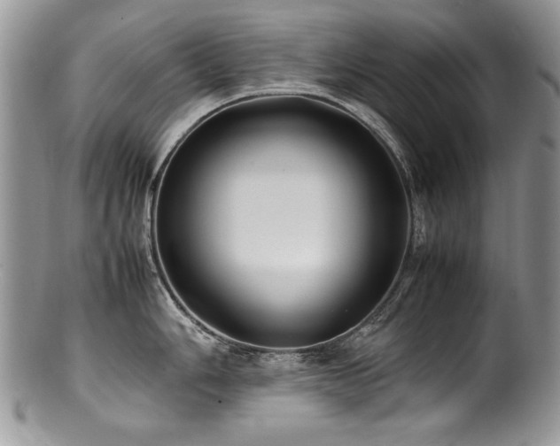 X0000100851006200806201209