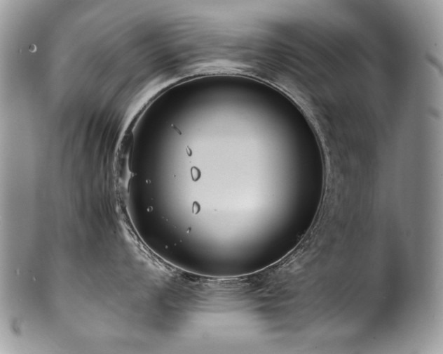 X0000100851008200806201209