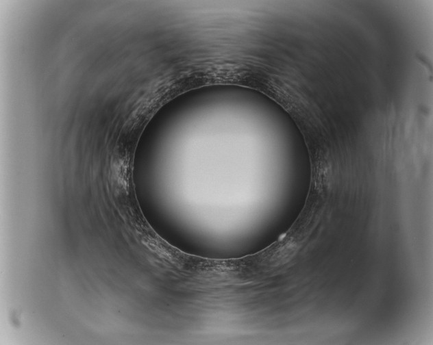 X0000100851010200806201209