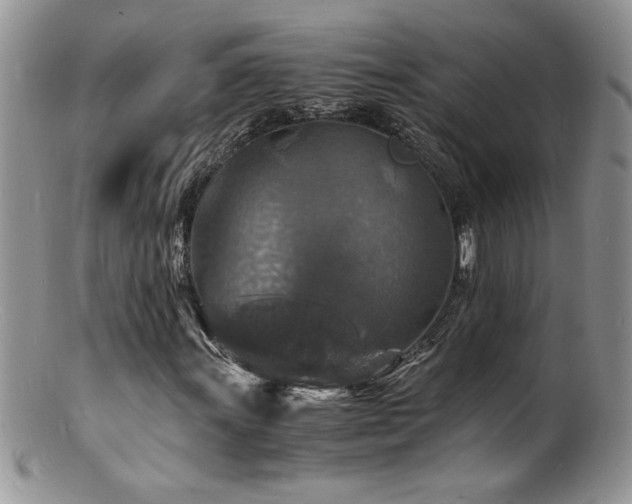 X0000100851011200806201209