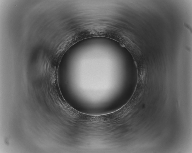 X0000100851012200806201209