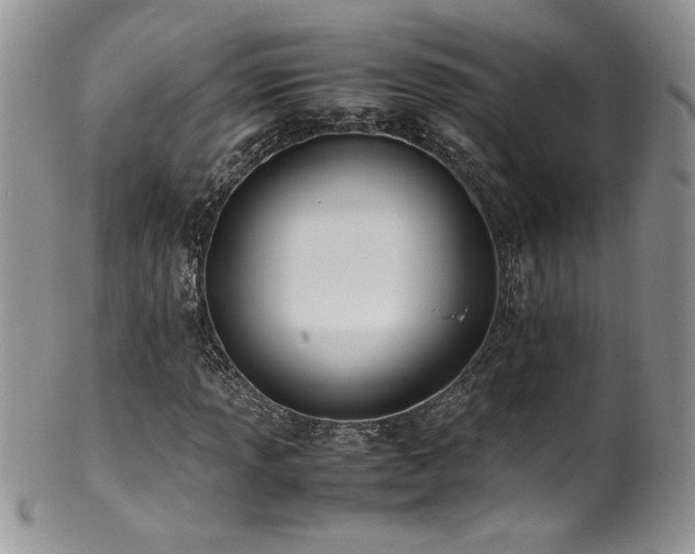 X0000100851013200806201209