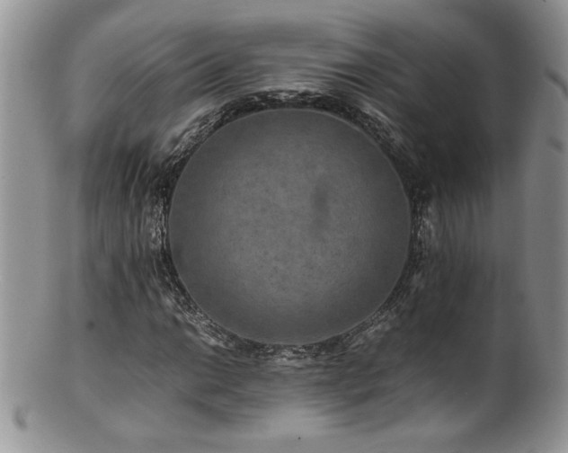 X0000100851014200806201209