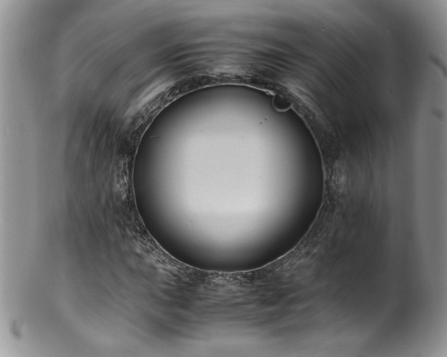 X0000100851015200806201209
