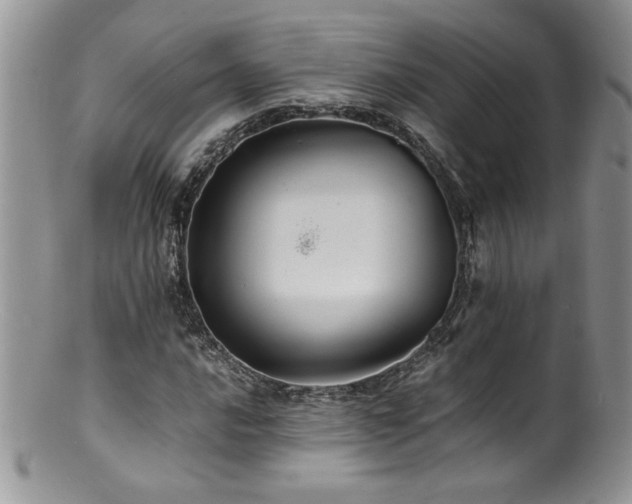 X0000100851016200806201209