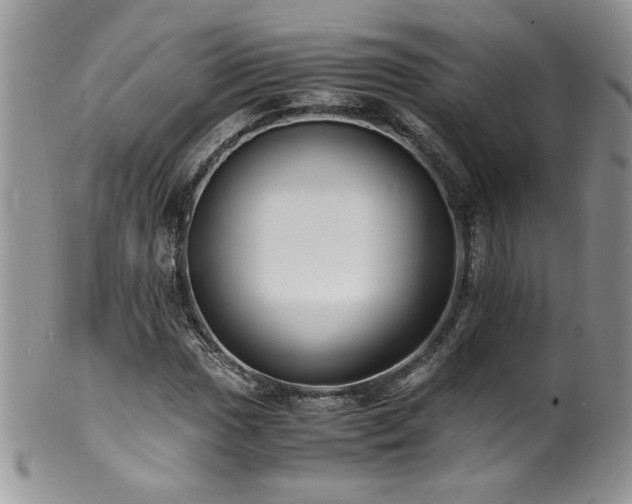 X0000100851017200806201209