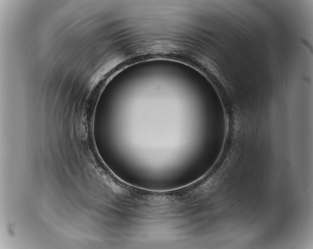 X0000100851018200806201209