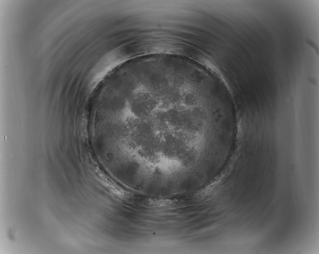 X0000100851019200806201209