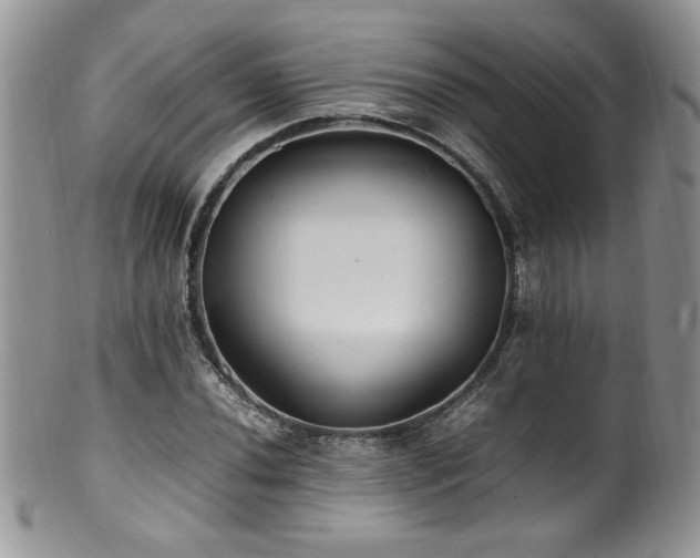 X0000100851020200806201209