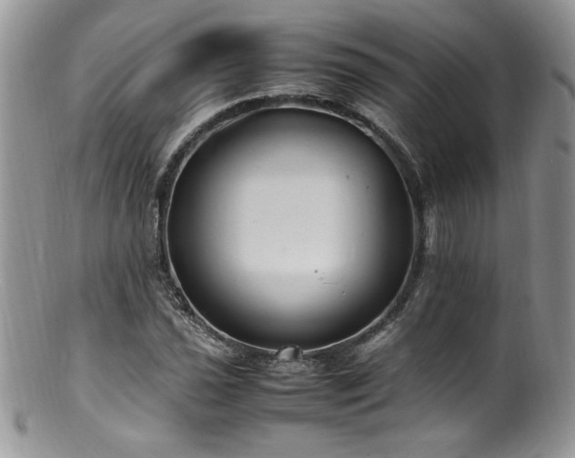 X0000100851021200806201209