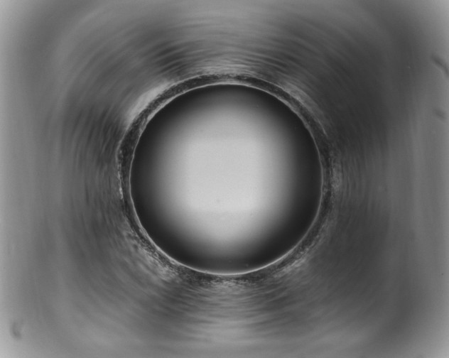 X0000100851022200806201209