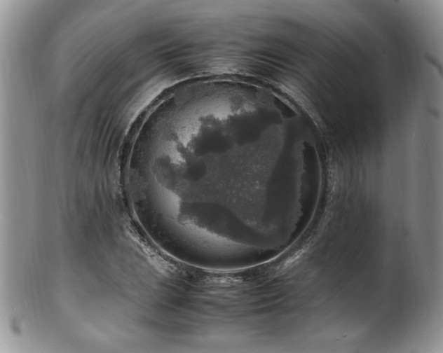 X0000100851023200806201209
