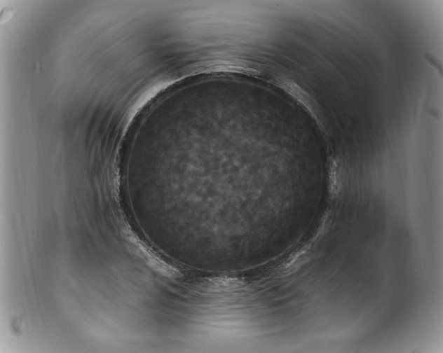 X0000100851024200806201209
