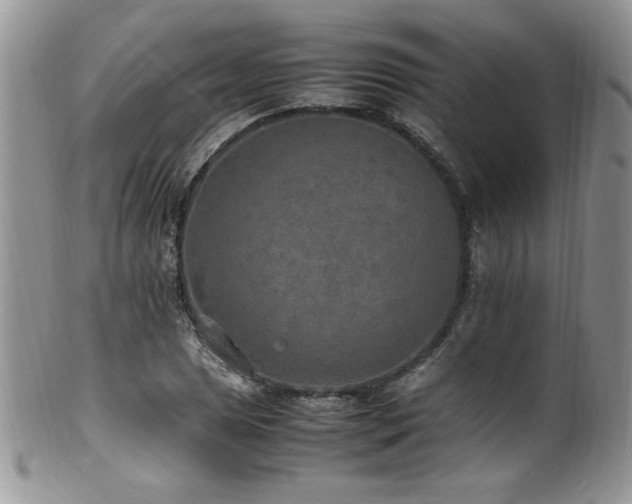 X0000100851025200806201209