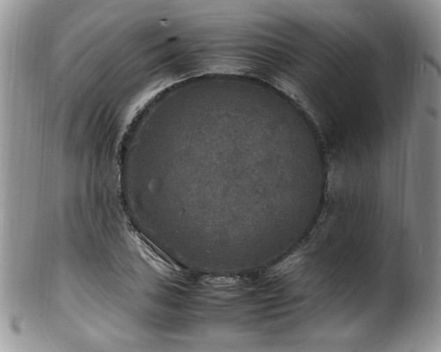 X0000100851027200806201209