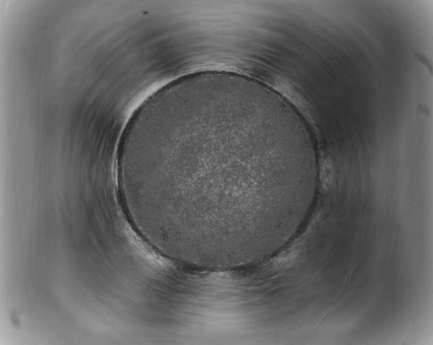 X0000100851028200806201209